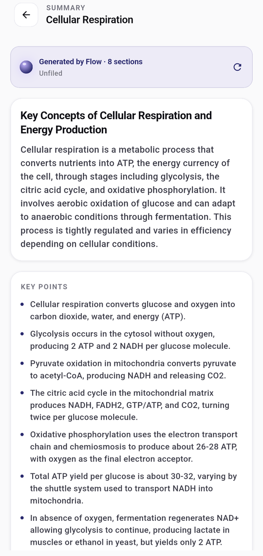 A generated summary with key points
